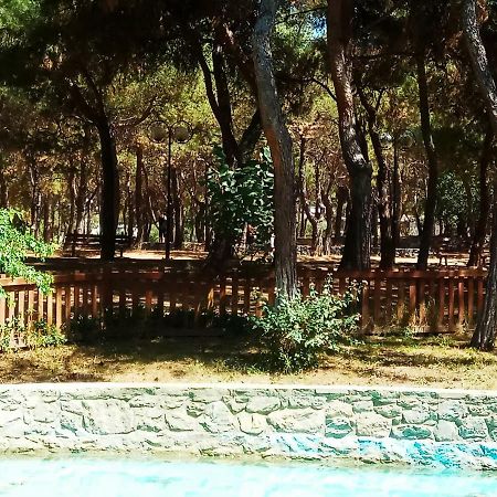 Athens 140アパートメント エクステリア 写真