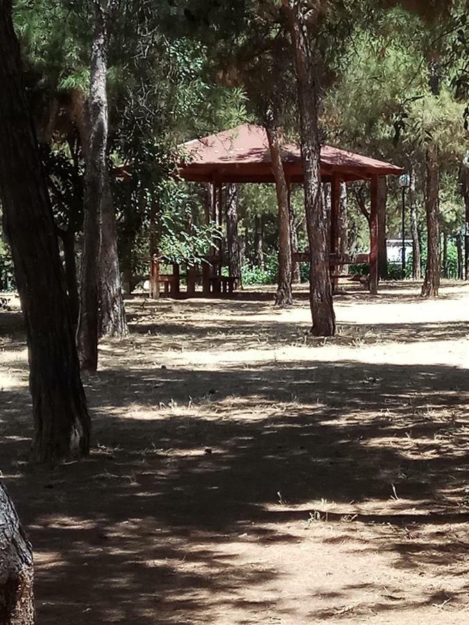 Athens 140アパートメント エクステリア 写真